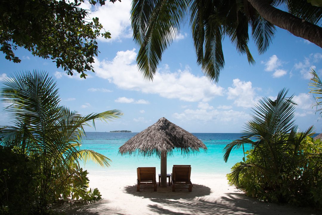  Seelenschmeichelei Motiv 