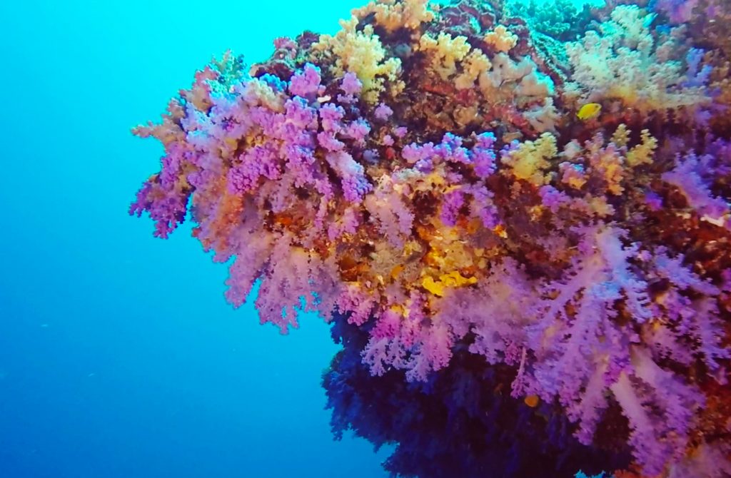  Seelenschmeichelei Bildidee 